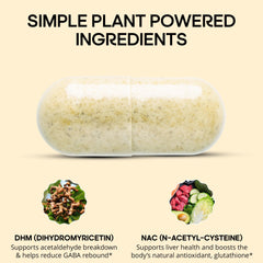 drinkwel ilustración de ingredientes DHM y NAC destacando acción complementaria