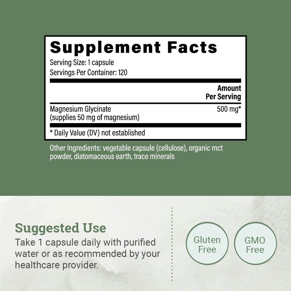Earth Harmony Naturals polvo MCT destacando absorción mejorada