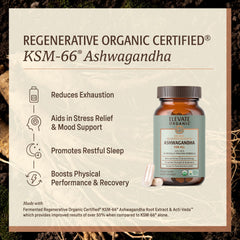 ELEVATE ORGANIC primer plano de cápsula que revela textura y calidad de formulación