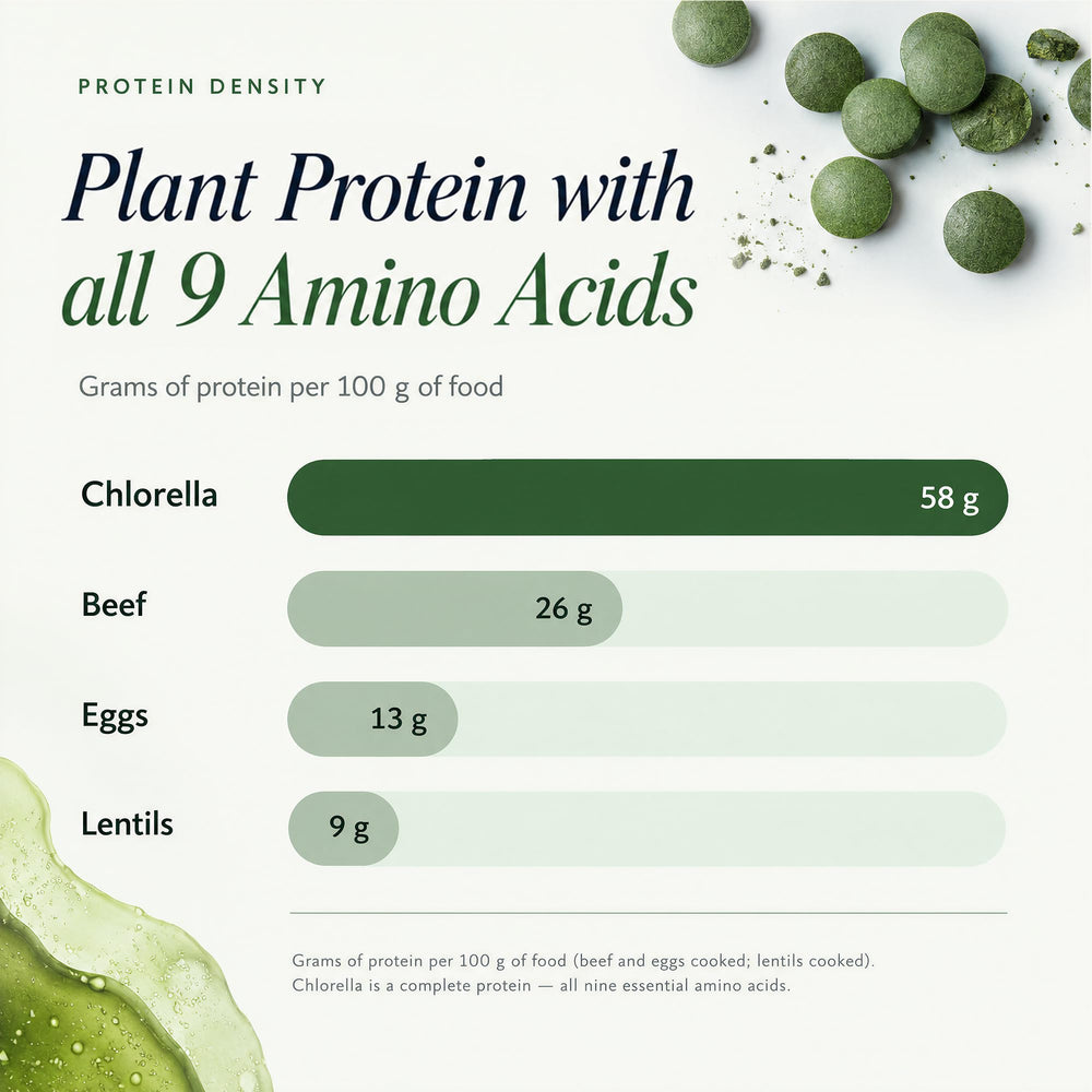 ENERGYBITS primer plano textura de chlorella mostrando pureza y calidad