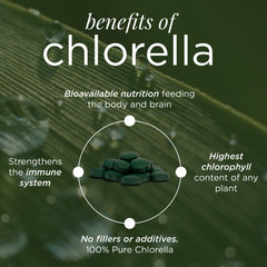 ENERGYBITS detalle de la algas espirulina y chlorella como ingrediente