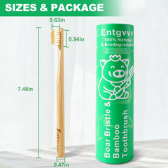 Entgvvv pack de seis en tubo reciclado mostrando embalaje sin plástico