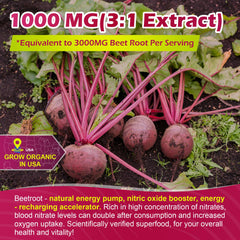 EnvyCure raíz de remolacha y extracto concentrado mostrando origen vegetal