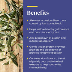 Enzymedica etiqueta nutricional legible que resalta ingredientes vegetales
