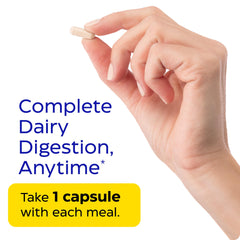 Enzymedica Lacto enzyme graphic illustrating a multi-enzyme dairy digestion approach.