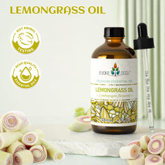 EVOKE OCCU hojas de lemongrass cerca destacando origen botánico