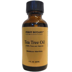 First Botany hojas de árbol de té frescas y paisaje de origen australiano