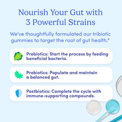 FIRST DAY Gummies offering immune support as part of daily routine