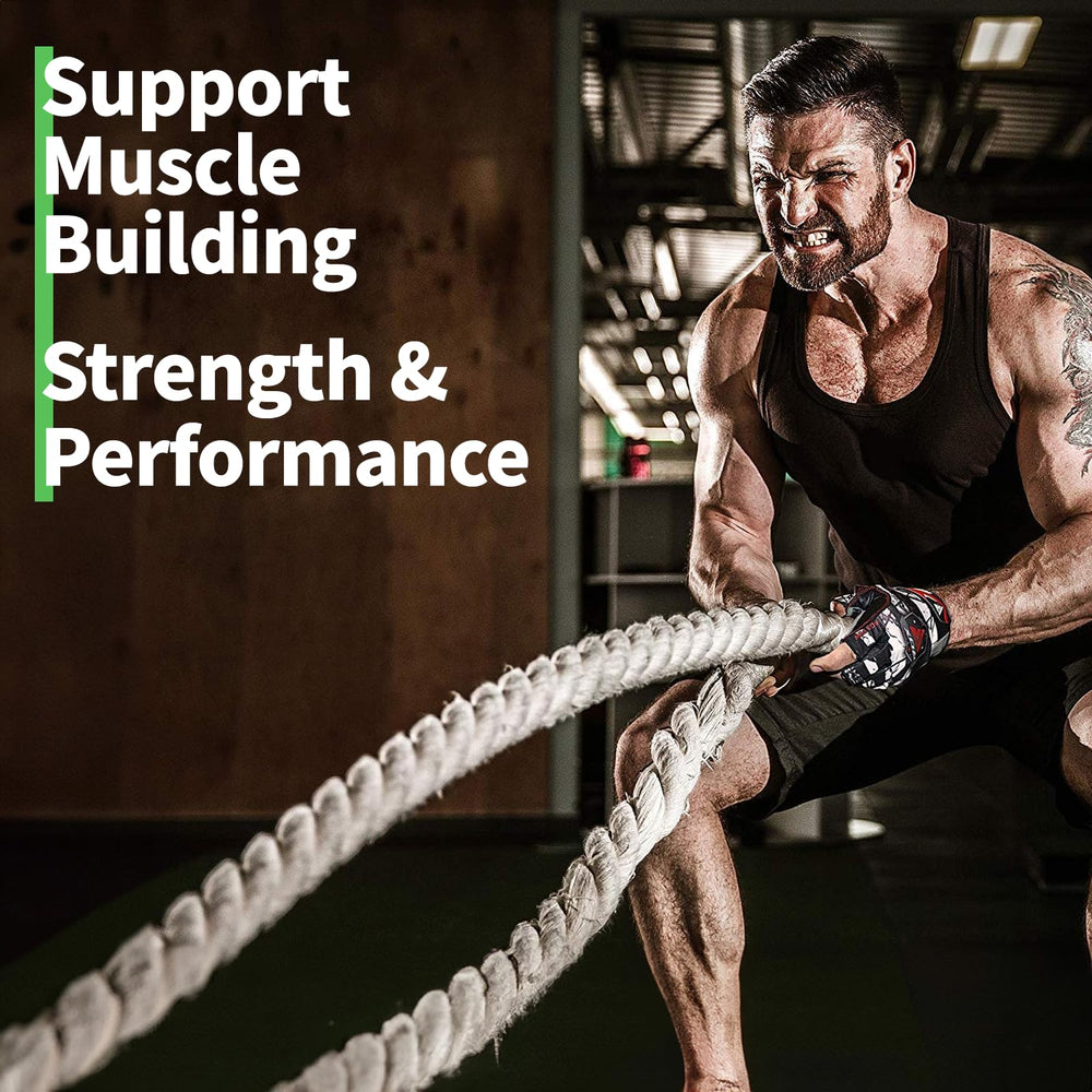 Cápsulas Fleamart Creatina Monohidrato — fáciles de tragar para uso diario