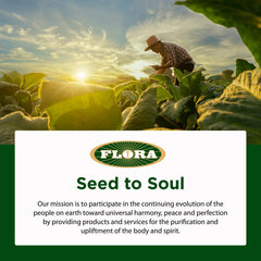 Flora Swedish Bitters packaging in natural scene emphasizing eco-friendly design.