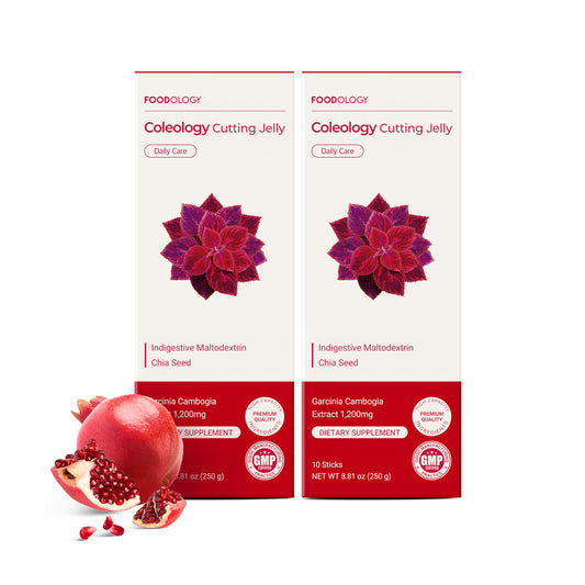 FOODOLOGY sticks frontal mostrando caja y diseño atractivo para identificar el producto