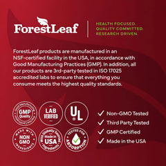 ForestLeaf jengibre y semillas de uva mostrando mezcla botánica complementaria