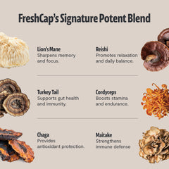 FreshCap Mushrooms uso en escritorio para enfoque prolongado durante jornadas de trabajo