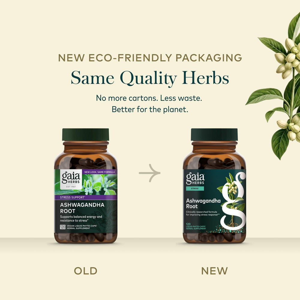 Producto Gaia Herbs en una mañana saludable, mostrando integración en rutina diaria
