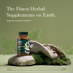 Gaia Herbs cápsula líquida cerca que muestra su forma vegana y fácil ingestión