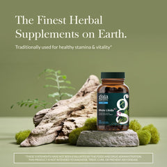Gaia Herbs primer plano de etiqueta con ingredientes y beneficios claros