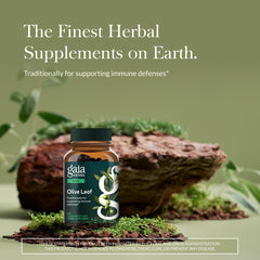 Gaia Herbs cápsulas veganas en primer plano para dosificación fácil