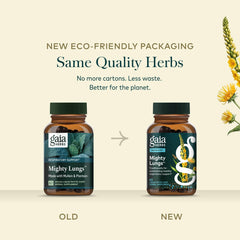 Ingredientes secos alineados que componen Gaia Herbs Mighty Lungs y su origen