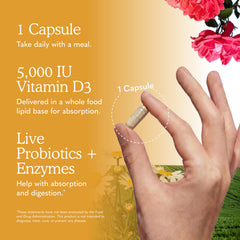 Garden of Life cápsula en mano mostrando tamaño cómodo y dosificación práctica