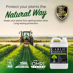 Garlic Barrier gota de líquido concentrado que muestra consistencia concentrada