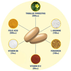 GAT SPORT Testrol Gold ES tabletas junto a pesas para uso en entrenamiento