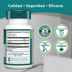 Genacol botella comparada con una regla para apreciar escala y dosis