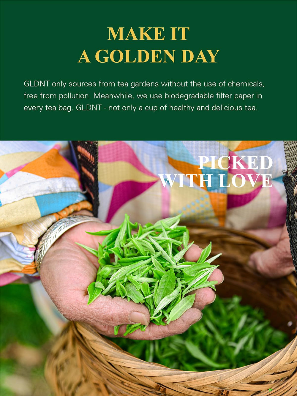 GLDNT taza de té humeante destacando sabor suave y reconfortante