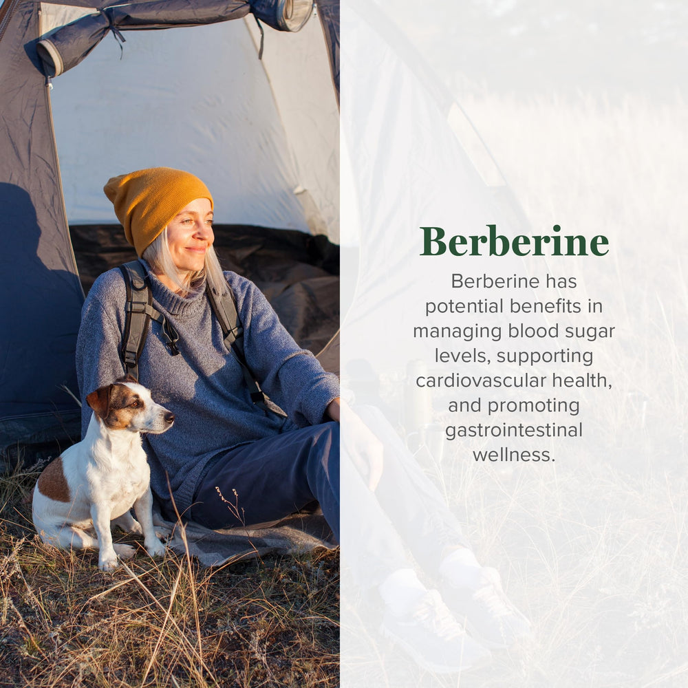 Global Healing Center Berberina-bote-capsulas: fácil uso diario.