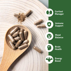 GlowEver ingredientes principales: ashwagandha, hongos y ginseng para apoyo diario
