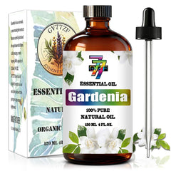 GV77ZF comparación de tamaño en mano mostrando volumen de 4 fl oz