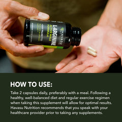 HAVASU NUTRITION bayas de saw palmetto demostrando origen botánico