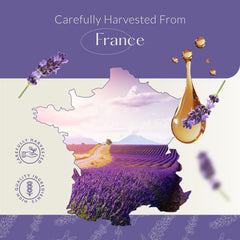 HBNO aceite en difusor creando ambiente relajante y fresco