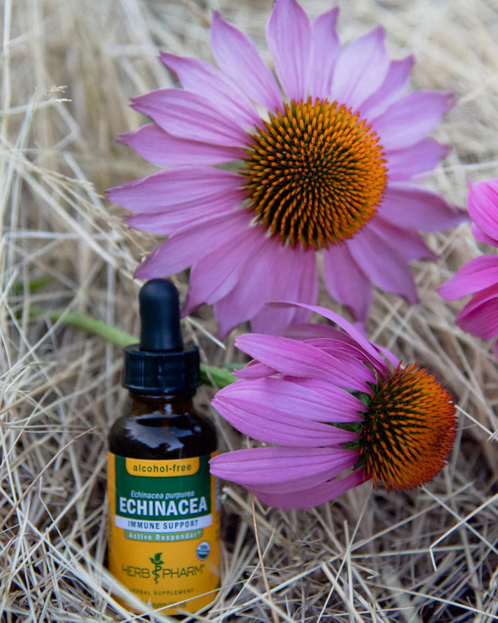 Herb Pharm gotas en cucharita listas para dosificar, control preciso