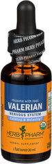 Raíz y rizoma frescos de valeriana Herb Pharm antes de la extracción, frescura preservada