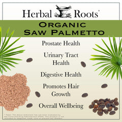 Herbal Roots textura del polvo del fruto que destaca pureza orgánica