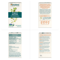 Himalaya en ambiente de estudio representando concentración y rutina