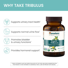Himalaya planta Tribulus terrestris en primer plano que respalda la fórmula