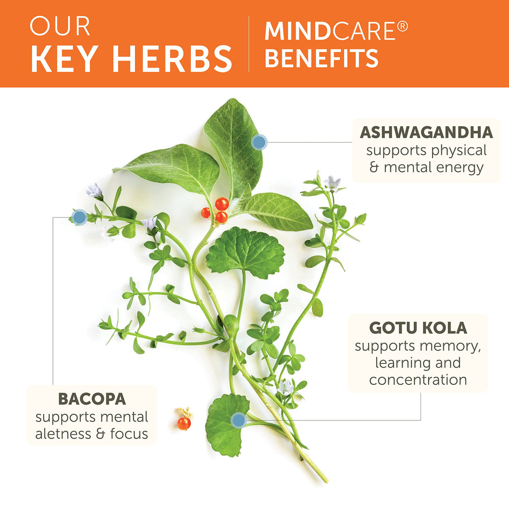 Himalaya MindCare etiqueta de ingredientes con listas claras y transparencia