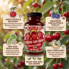 Hippie Farms polvo en cucharilla muestra concentración y pureza del ingrediente
