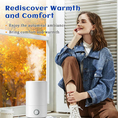 HIQILI Aceite de canela en difusor para ambientar espacios.