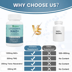 inGreens sistema liposomal de entrega: entrega eficiente de nutrientes