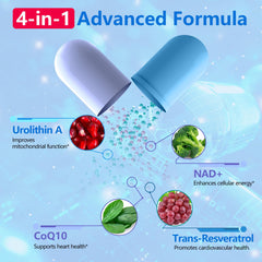 inGreens Urolitina A: frasco en mesa para rutina diaria