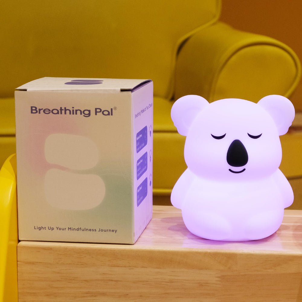 InnoCity Breathing Pal Kyle envuelto como regalo, opción práctica para obsequiar bienestar