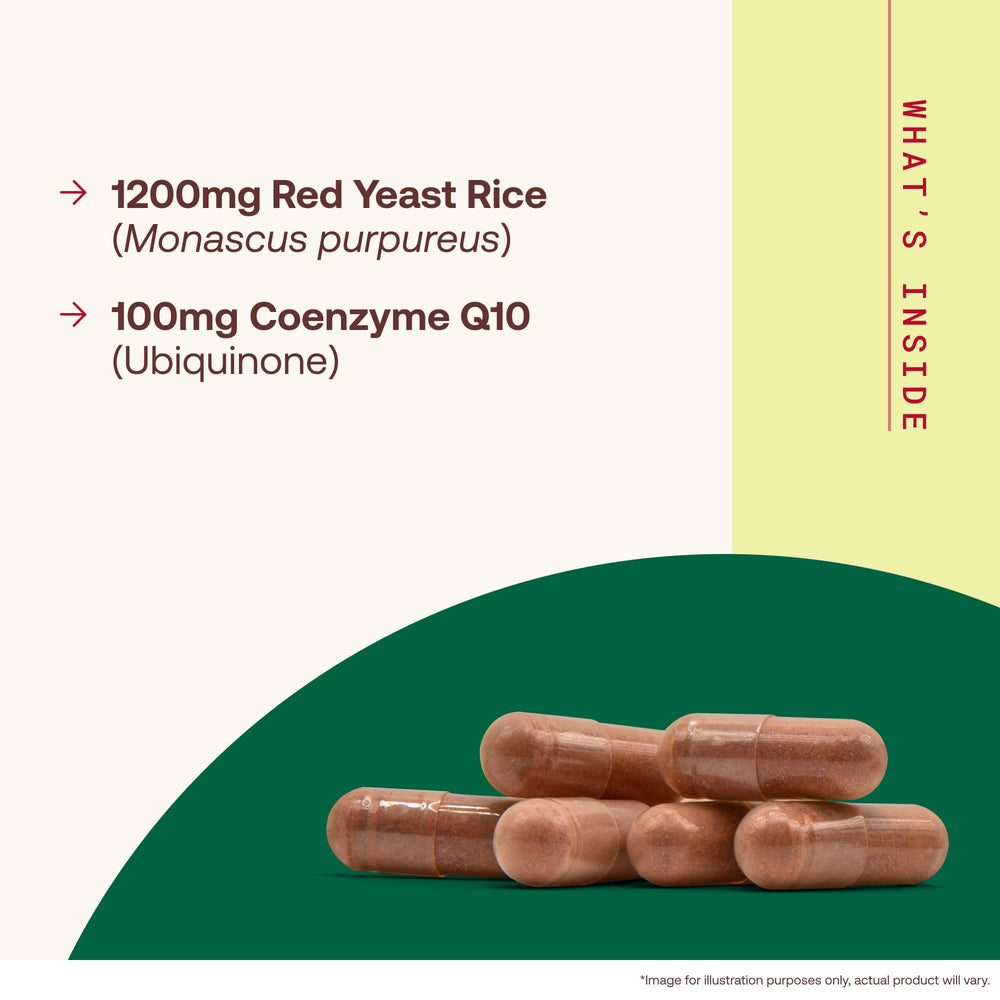 Jarrow Formulas vista del polvo y textura que sugiere pureza del ingrediente