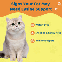 Jollyfit detalle del gotero para dosificación precisa y cómoda