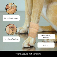Juvale vendaje colocado en pata de perro para soporte y protección