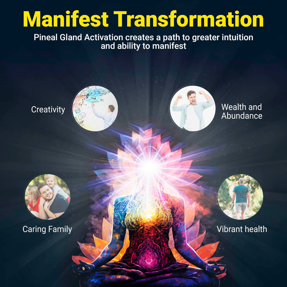 Kailash Herbals ingredientes himaláyanos en bol que indican origen