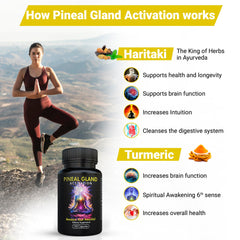 Kailash Herbals ebook y videos incluidos para aprender prácticas
