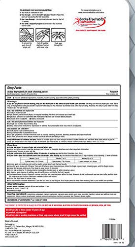 Chicle Kirkland para dejar de fumar, sabor menta hielo, envase de 300 piezas