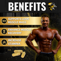 KNIGHT WOLF SUPPS bote junto a una mano para apreciar tamaño y duración